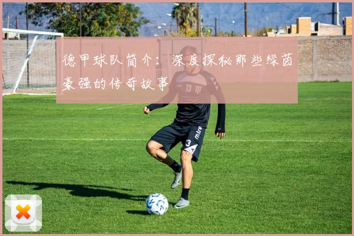 德甲球队简介：深度探秘那些绿茵豪强的传奇故事