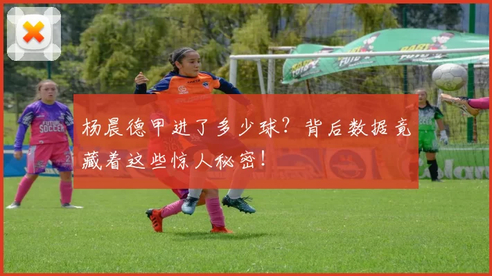 杨晨德甲进了多少球？背后数据竟藏着这些惊人秘密！