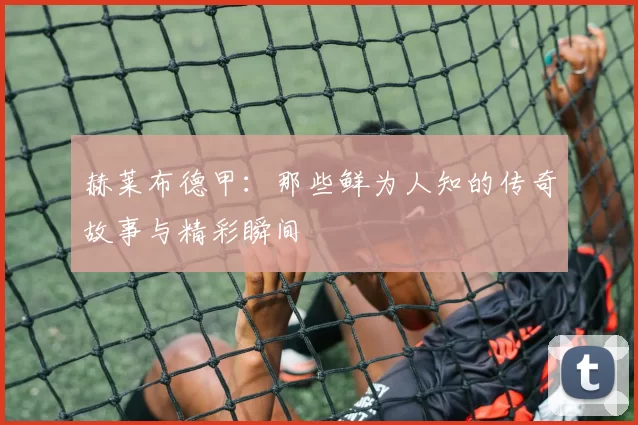 赫莱布德甲:那些鲜为人知的传奇故事与精彩瞬间