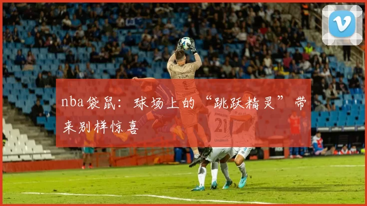 nba袋鼠：球场上的“跳跃精灵”带来别样惊喜